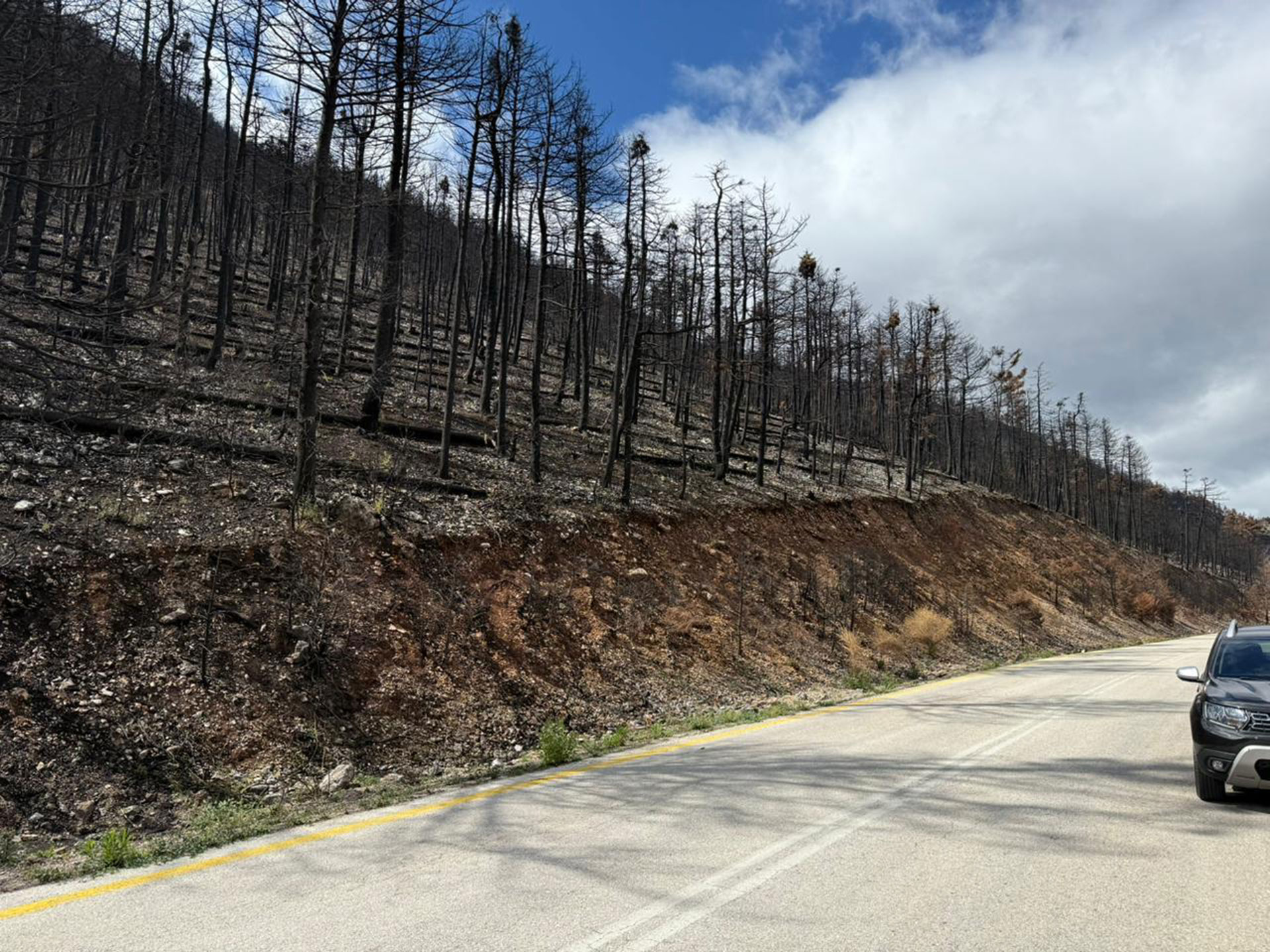 Κορινθία: Εργα στα καμένα για να προλάβουν τις πλημμύρες-1