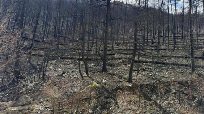 κορινθία-εργα-στα-καμένα-για-να-προλάβ-563859682