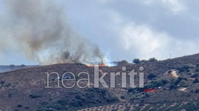φωτιά-στις-μελέσες-κρήτης-επιχειρού-563847583
