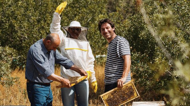 βραβείο-παραγωγής-μελιού-στην-οικογέ-563875786