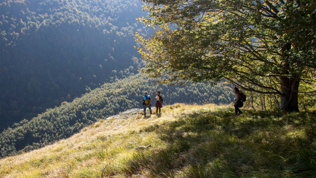 eθνικό-πάρκο-αμπρούτσο-το-ιταλικό-πρότ-563879317