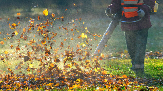 το-μαρτύριο-του-φυσητήρα-στα-βόρεια-πρ-563845612
