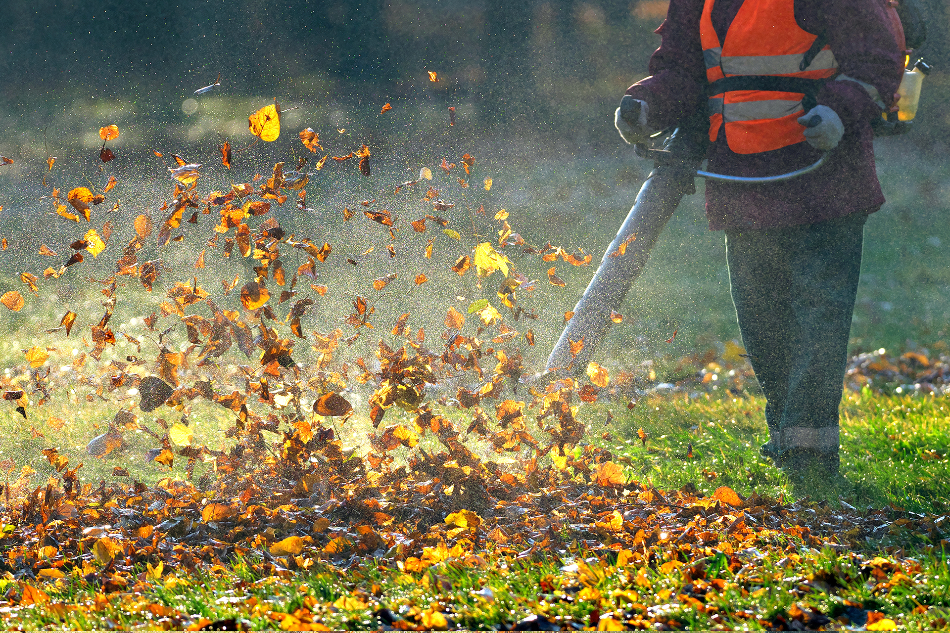 το-μαρτύριο-του-φυσητήρα-στα-βόρεια-πρ-563845612