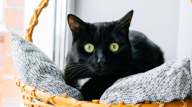 μια-πόλη-στην-ισπανία-απαγόρευσε-την-υ-563868661