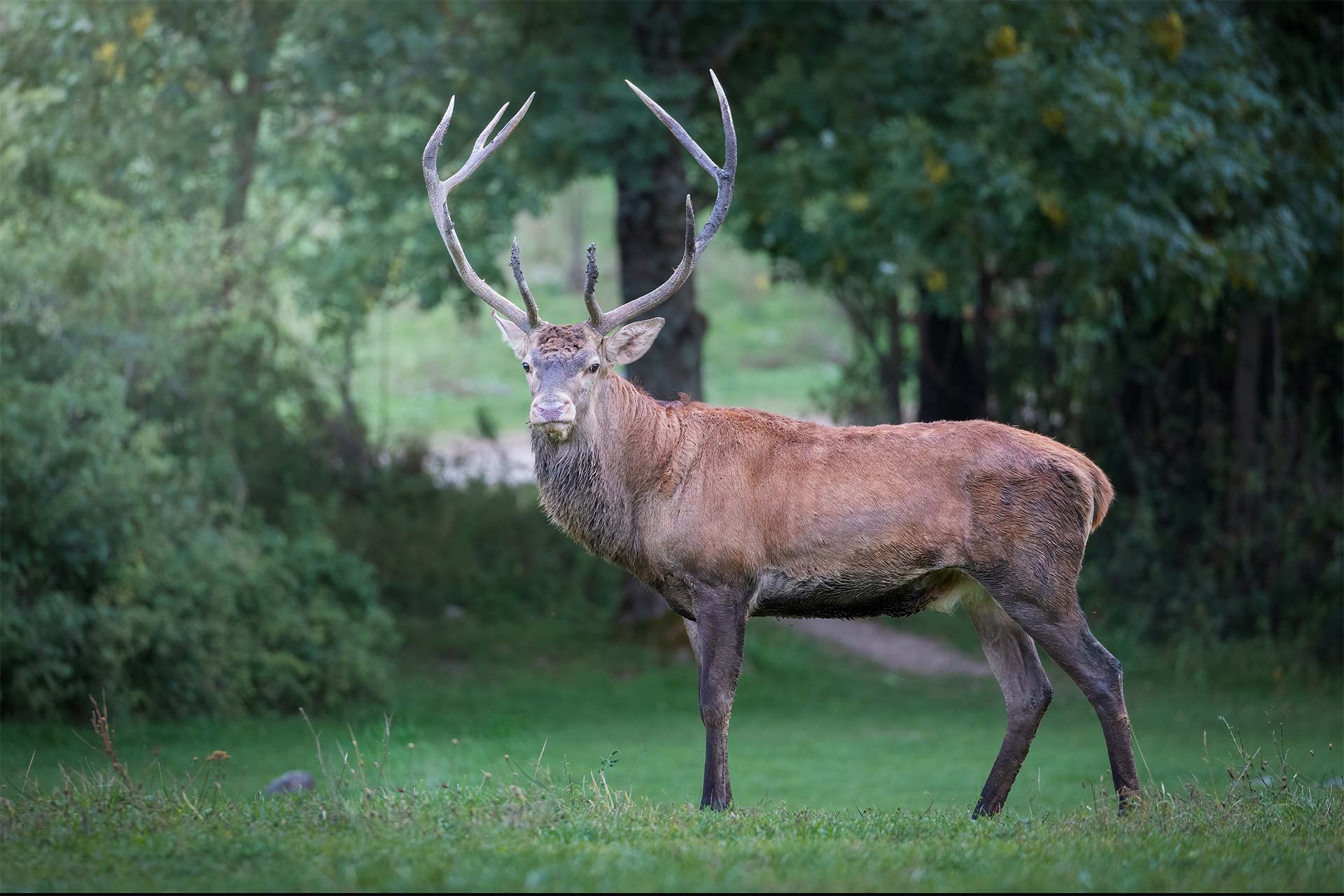 Eθνικό Πάρκο Αμπρούτσο: Το ιταλικό πρότυπο οικοτουρισμού-3