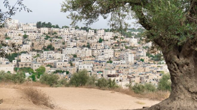 δυτική-οχθη-απελάθηκαν-32-ακτιβιστές-πο-563881756