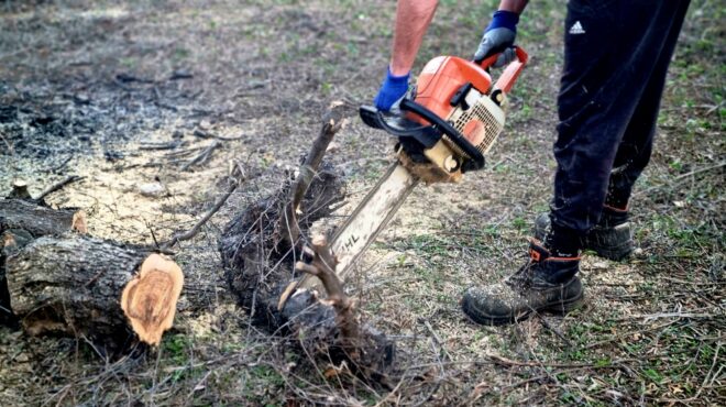 ελασσόνα-σκοτώθηκε-υλοτόμος-που-κατα-563881525
