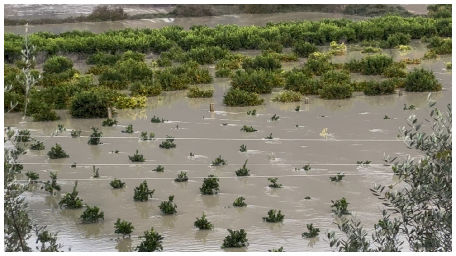 Κακοκαιρία: Σοβαρά προβλήματα σε Αρτα, Ιωάννινα, Πρέβεζα και Θεσπρωτία – Μηνύματα από 112-2