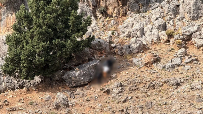 εμπλεκόμενος-στο-φονικό-ο-43χρονος-ει-563904706