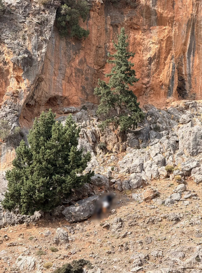 Εμπλεκόμενος στο φονικό ο 43χρονος – Εικόνες από το «οπλοστάσιο» στη σπηλιά-2