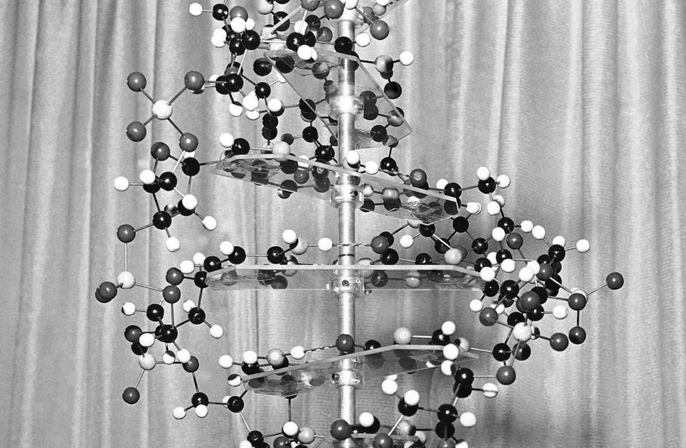 Τζέιμς Γουάτσον: Ο νομπελίστας που έριξε φως στο DNA, πέθανε στα 97 του-1