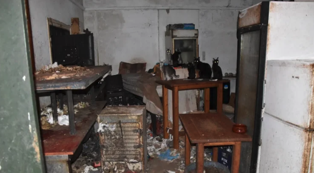 δονούσα-πρόστιμο-17-εκατ-ευρώ-σε-63χρονο-γ-563915161