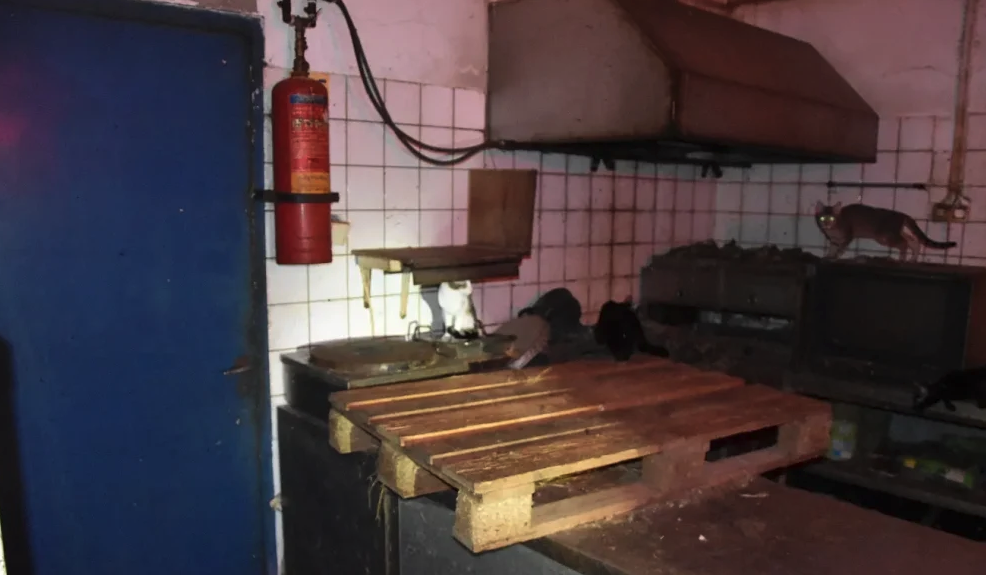 Δονούσα: Πρόστιμο 1,7 εκατ. ευρώ σε 63χρονο για «αιχμαλωσία» ζώων – Συγκλονιστικές εικόνες-2