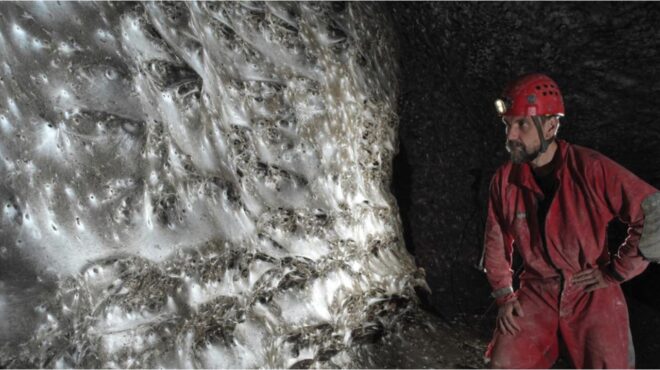 111-000-αραχνίδια-στο-απόλυτο-σκοτάδι-ο-μεγα-563906416