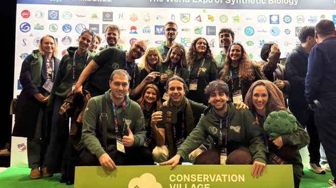 το-χρυσό-που-θα-σώσει-τα-πλατάνια-563908495