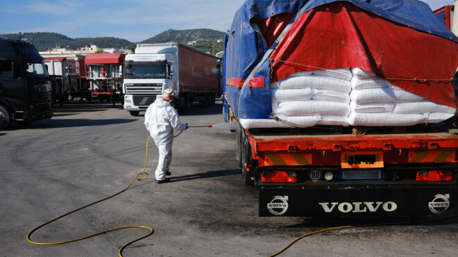 ευλογιά-αιγοπροβάτων-νέα-κρούσματα-π-563920477