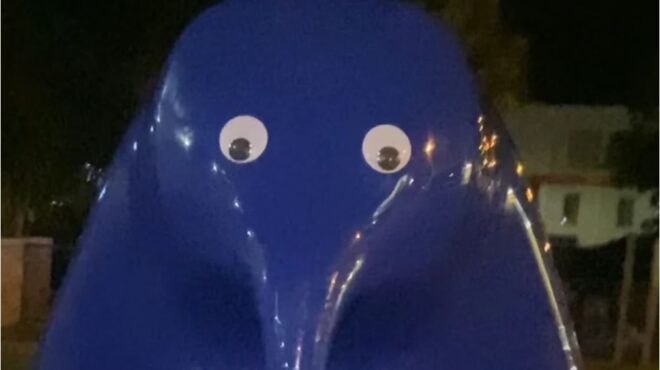 αυστραλία-19χρονη-κατηγορείται-για-φθο-563906569