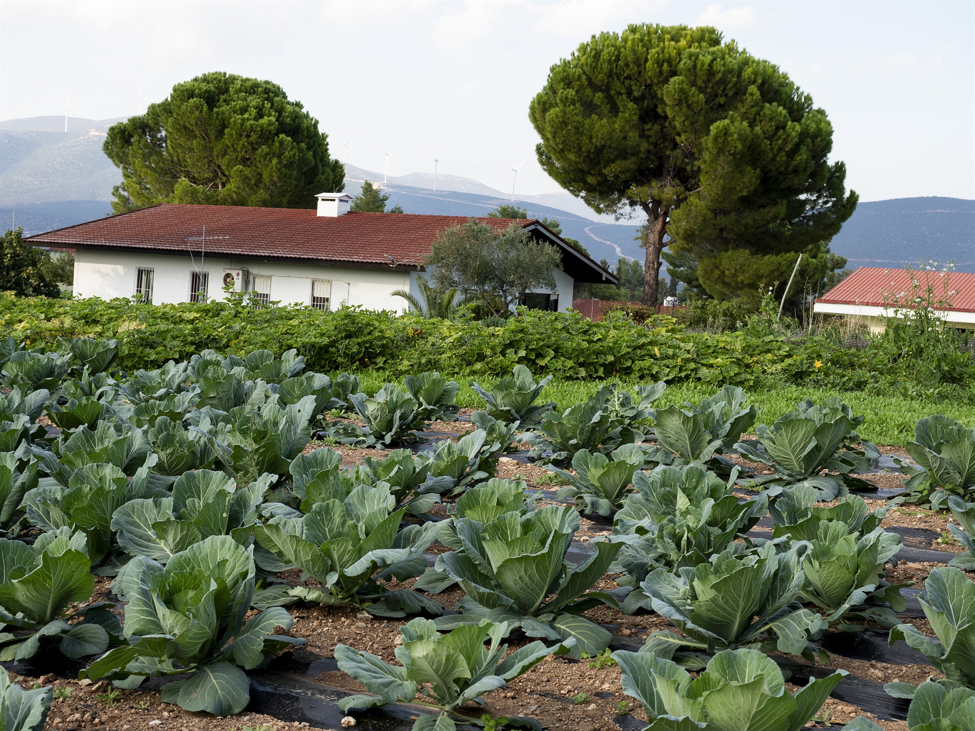 Προετοιμάζοντας τη δεύτερη ζωή τους – Εφόδια για όταν κλείσει πίσω τους η πύλη-3