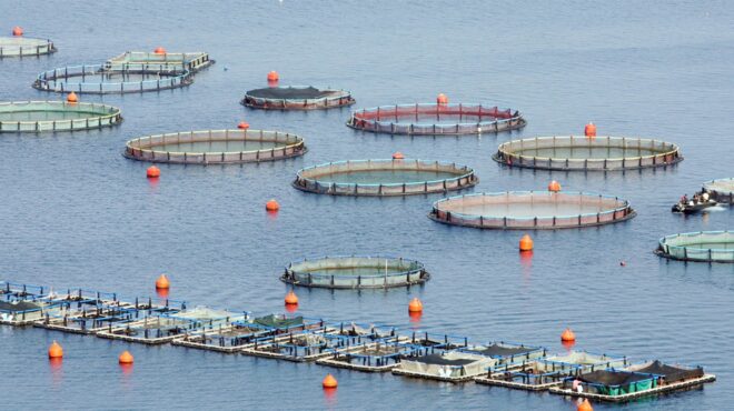 εξετάζουν-την-προσφορά-cooke-για-την-avramar-563917963