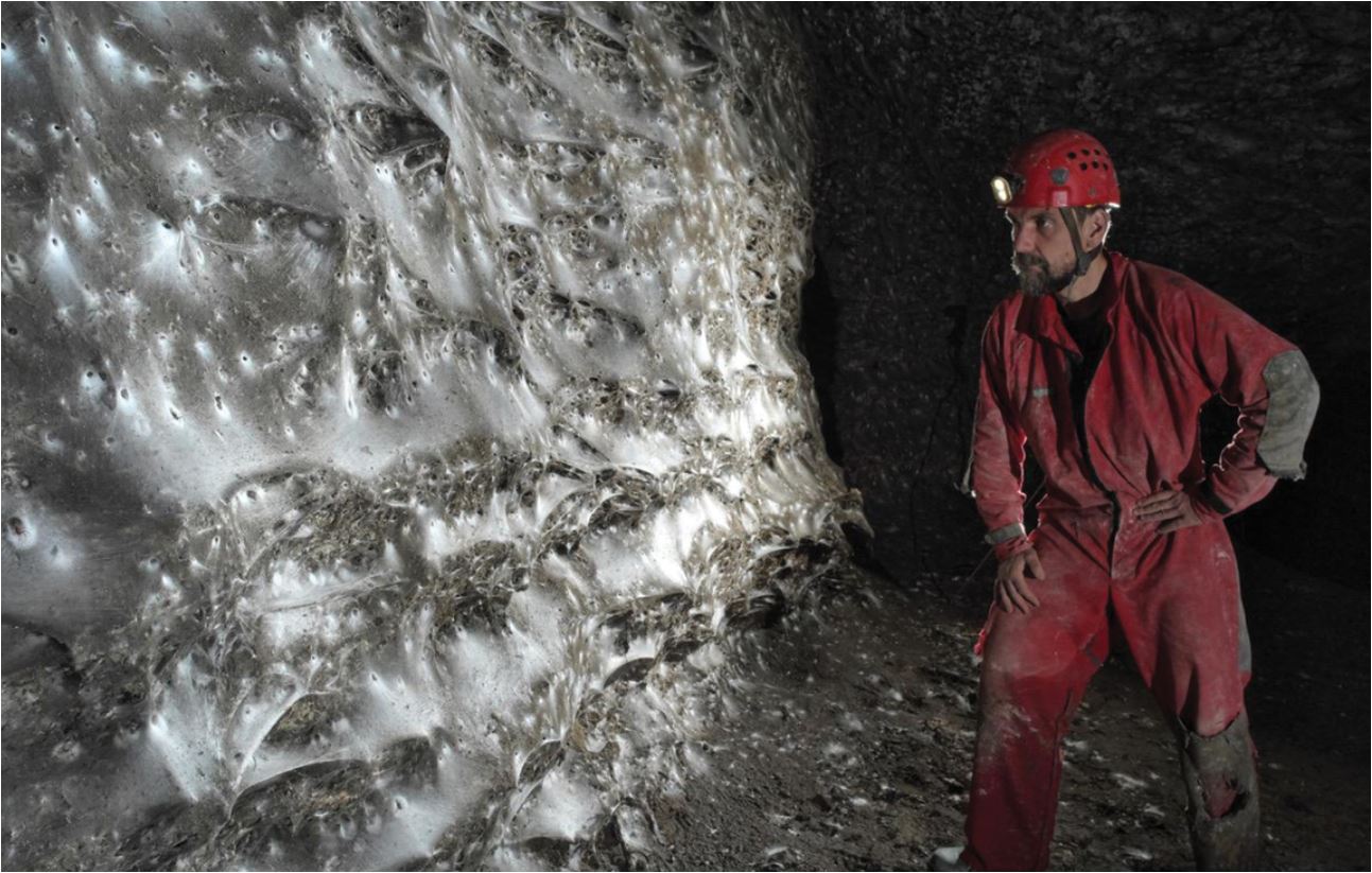 111.000 αραχνίδια στο απόλυτο σκοτάδι: Ο μεγαλύτερος ιστός αράχνης ανακαλύφθηκε στα σύνορα Ελλάδας – Αλβανίας-2