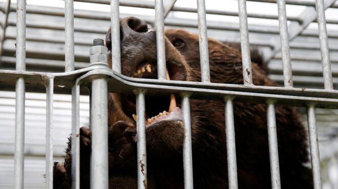 η-ιαπωνία-κινητοποιεί-τον-στρατό-στον-563904250