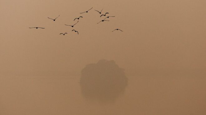 ινδία-διαδικτυακά-τα-δικαστήρια-λόγ-563920681