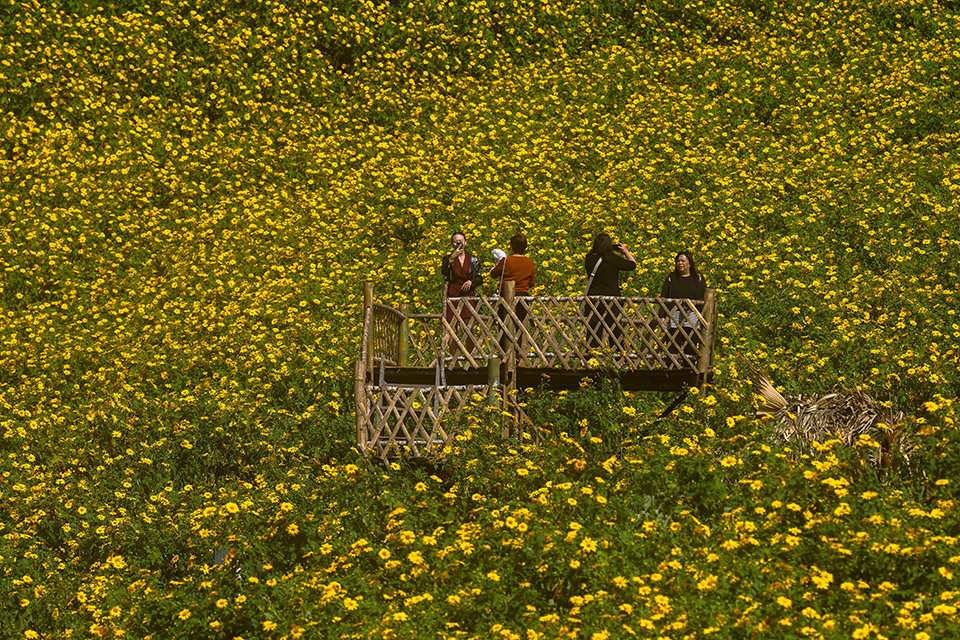 «Οταν μεγαλώσω θα γίνω κτηνίατρος»-3