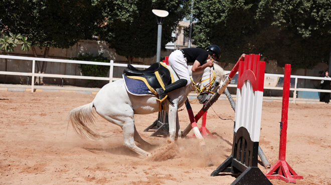 το-φρένο-563927830