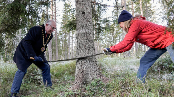 την-ώρα-που-έκοβαν-τον-κορμό-563934457