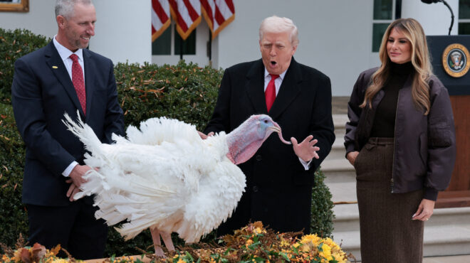 ο-τραμπ-έσωσε-τις-γαλοπούλες-gobble-και-waddle-563940760
