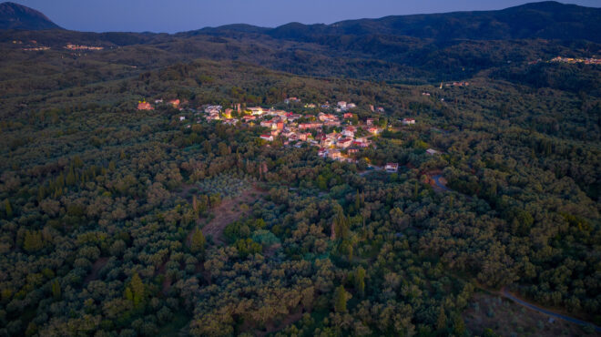 βλέπουν-παράθυρο-στα-δάση-563911555