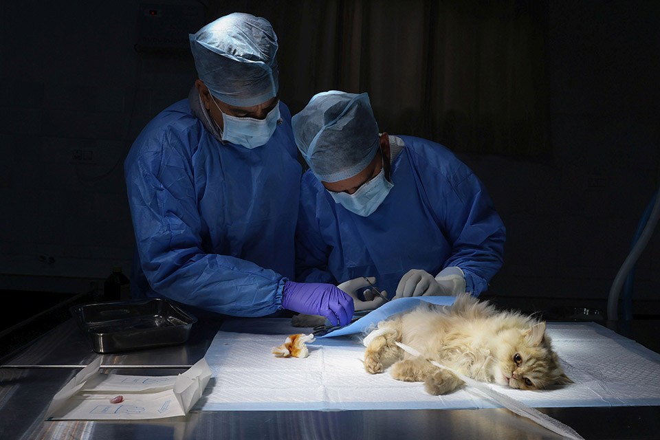 Σύγχρονο και αρχαίο-1