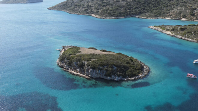 θαλάσσιο-πάρκο-αλοννήσου-στοπ-στην-563911117