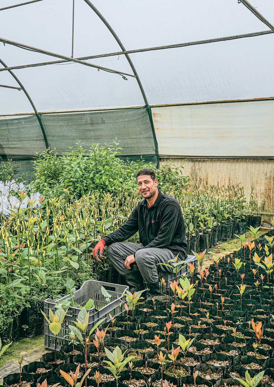 Αβοκάντο: Το φρούτο που άλλαξε το τοπίο στην Κρήτη-3