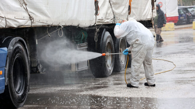 ευλογιά-αιγοπροβάτων-παρανομίες-μη-ε-563898832