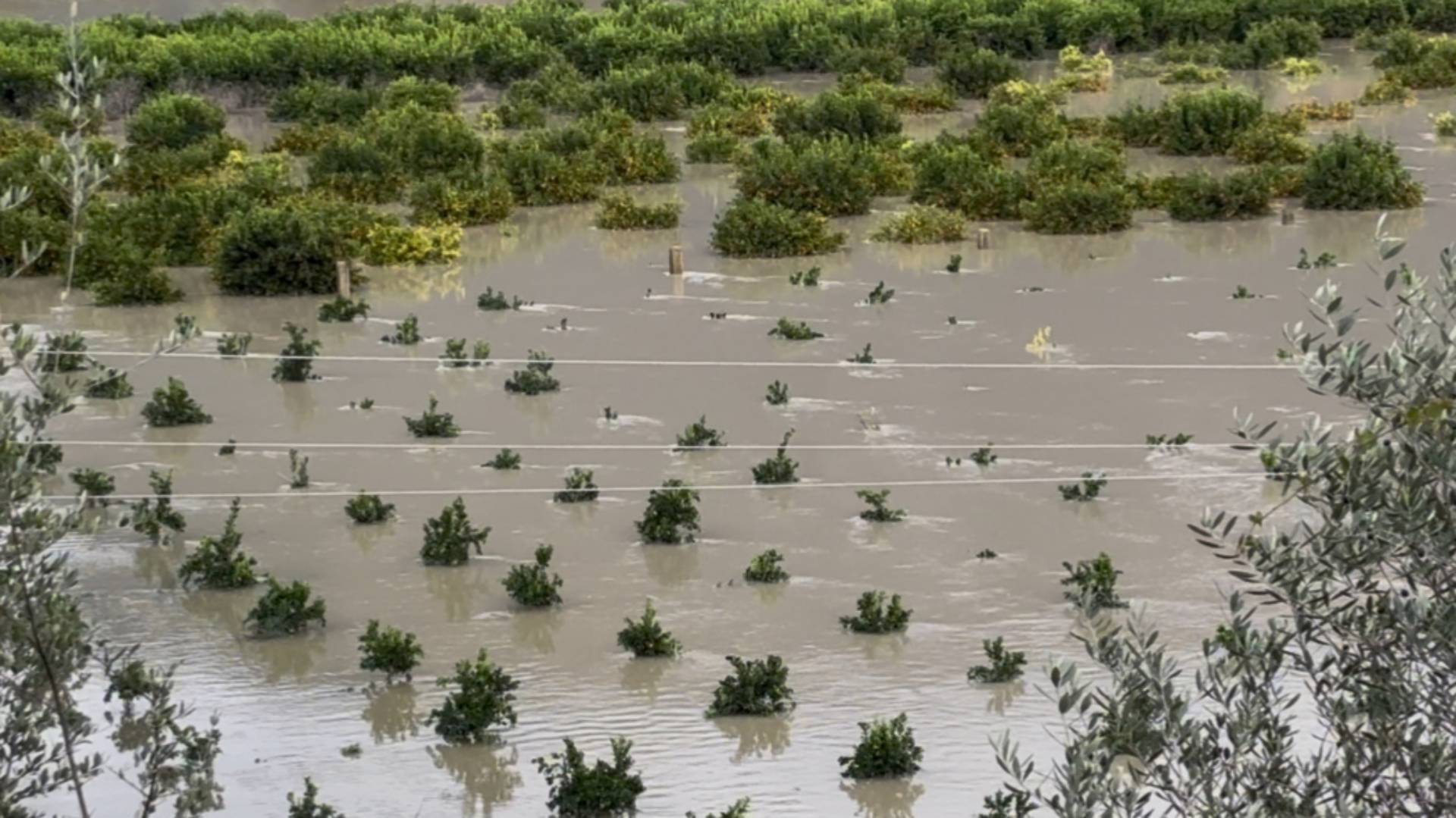 Δυτική Ελλάδα: Τεράστιες καταστροφές από την κακοκαιρία – Κλιμάκιο της Πολιτικής Προστασίας στην Κέρκυρα-3