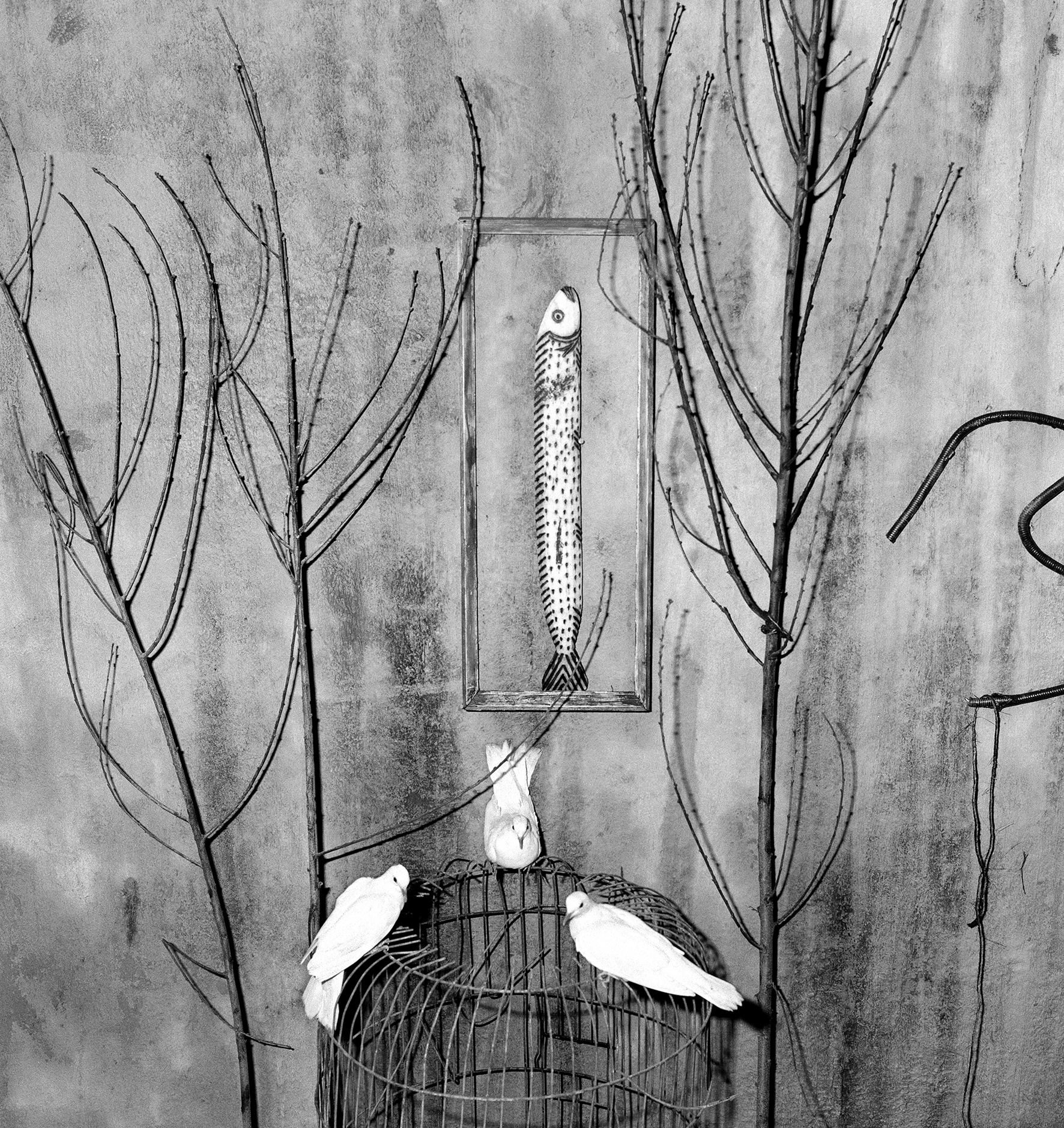 Ρότζερ Μπάλεν στην «Κ»: «Η δουλειά μου είναι ένα ημερολόγιο που με βοηθά να καταλάβω καλύτερα τη ζωή»-6