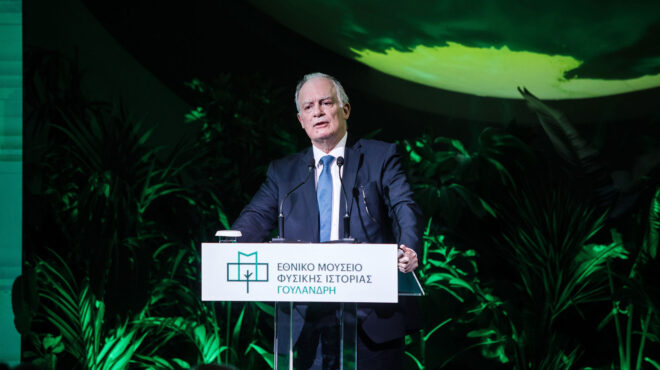 εγκαίνια-για-το-εθνικό-μουσείο-φυσική-563933356