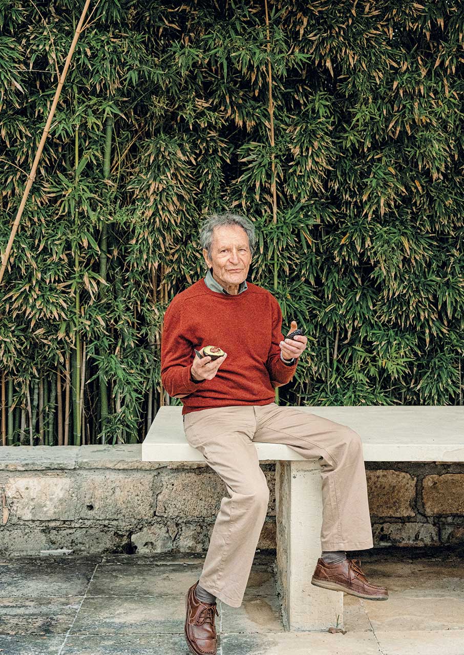 Αβοκάντο: Το φρούτο που άλλαξε το τοπίο στην Κρήτη-4