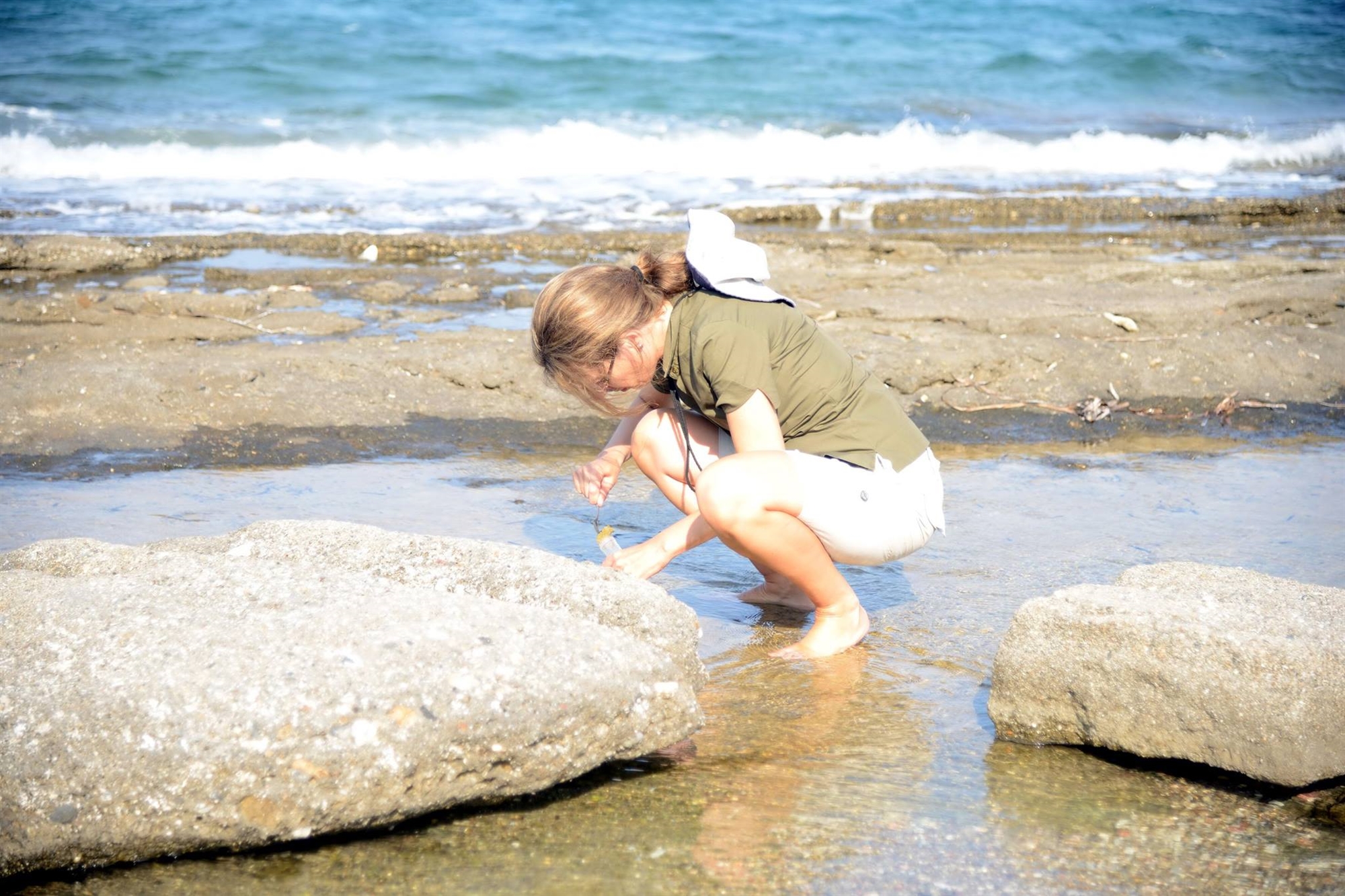 Προστασία των ακτών με τον τρόπο της φύσης-1