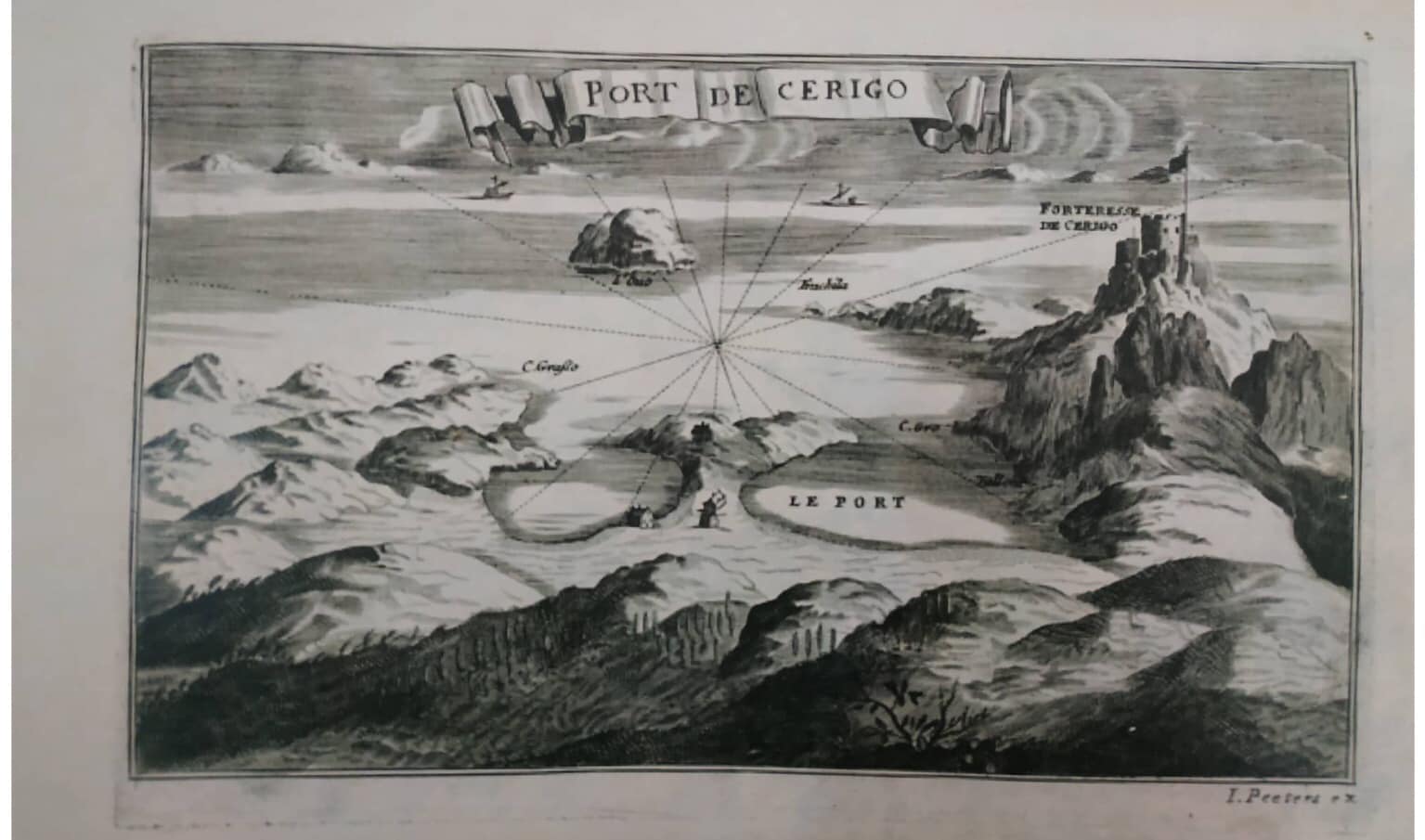 Ενας διασωθείς βασιλαετός αναδεικνύει την πολύτιμη δουλειά της Χρύσας Μαλτέζου-4