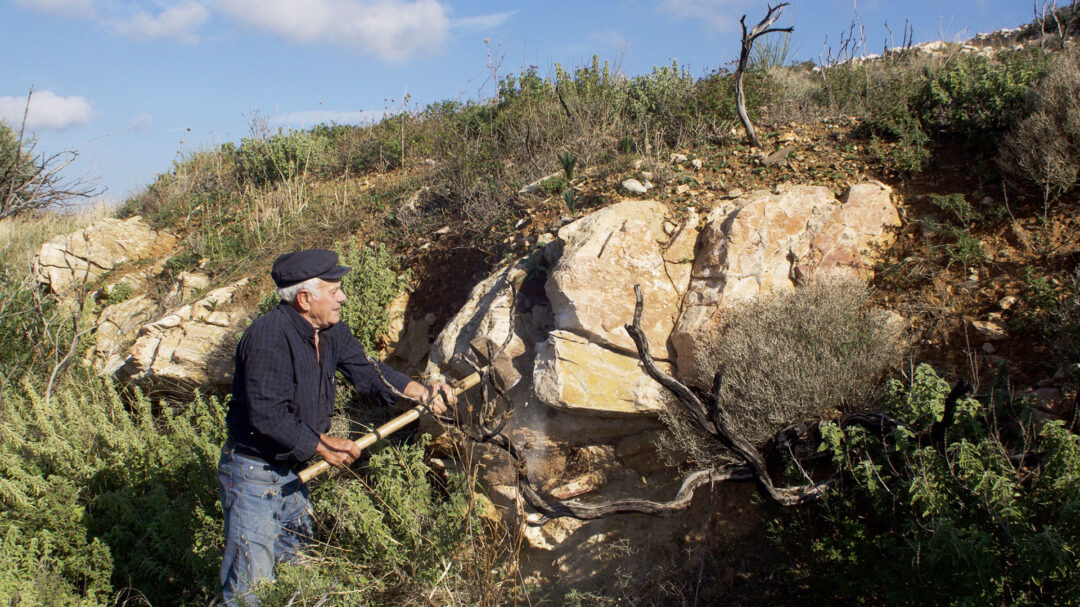 οι-πέτρες-που-στήριξαν-τις-κυκλάδες-563920735