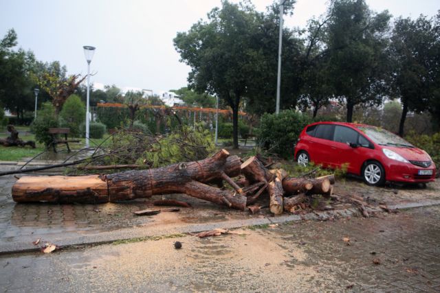 Πληγές από την κακοκαιρία «Adel»-1
