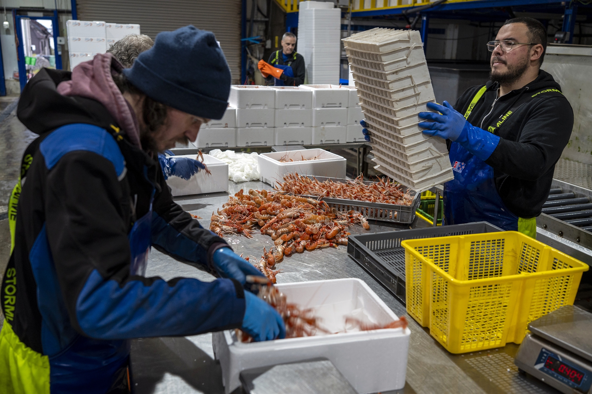 Χωριά της Σκωτίας ζητούν μετανάστες-1