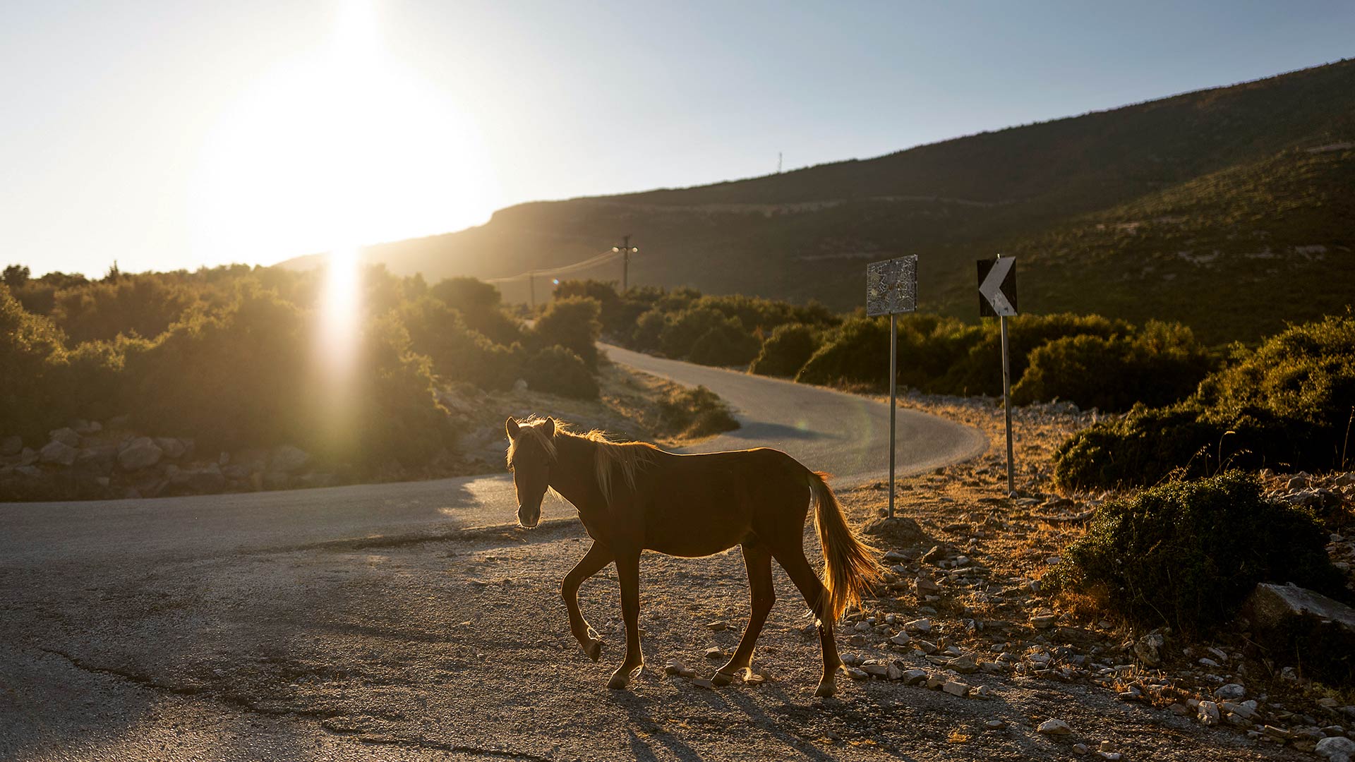 Νέστος, ο ζωντανός ποταμός της Θράκης-3