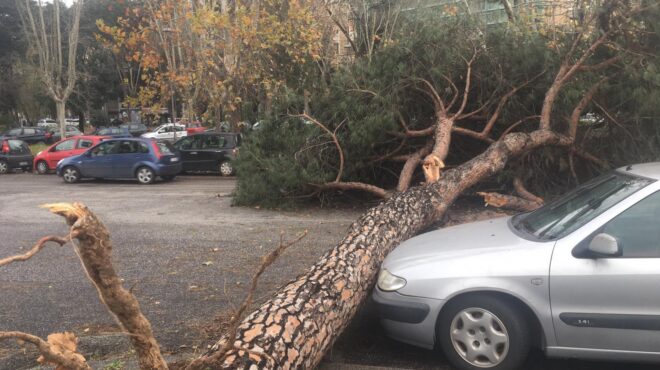 κύμα-σφοδρής-κακοκαιρίας-σαρώνει-τη-γ-563923963