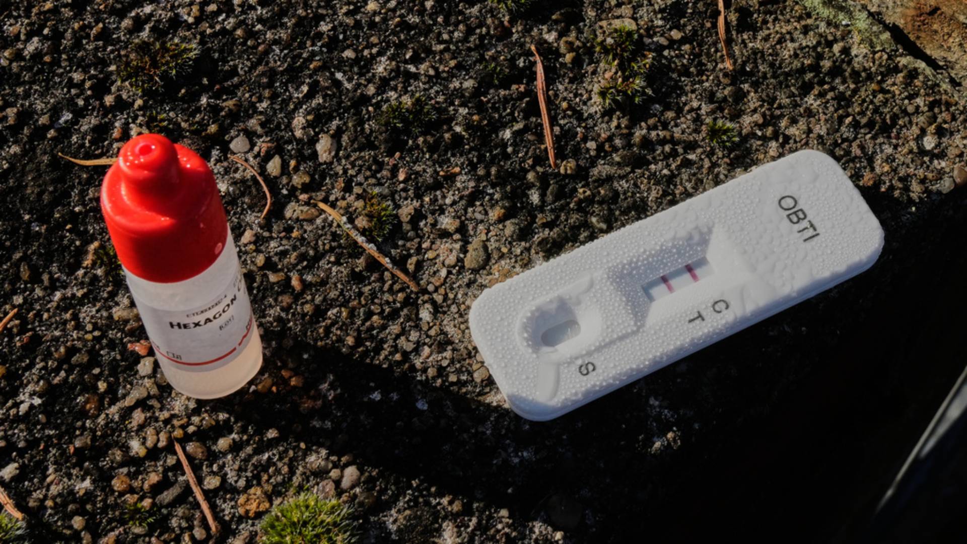 Γερμανία: Μουτζούρωσαν με σβάστικες 50 αυτοκίνητα – «Πιθανόν με ανθρώπινο αίμα»-2