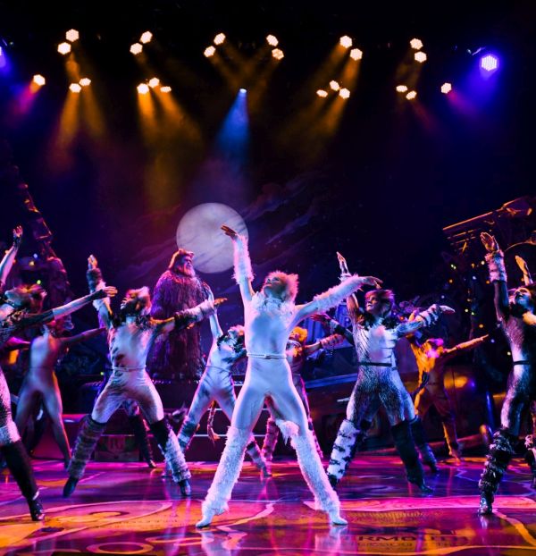 μάς-ενώνουν-τα-μιούζικαλ-563928946