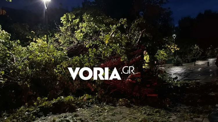 Κακοκαιρία: Εντονα φαινόμενα έπληξαν τη δυτική Ελλάδα – Πού αναμένονται βροχές και καταιγίδες [βίντεο]-1