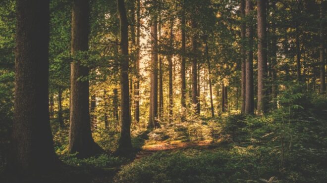 ιταλία-διαμάχη-στη-χώρα-για-μια-οικογέ-563938840